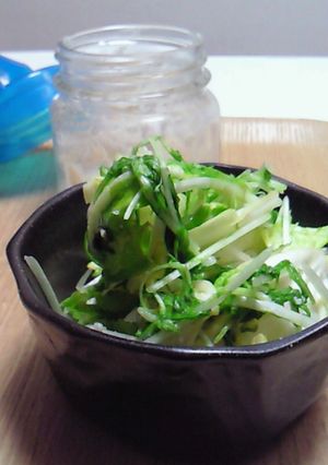 浅漬け☆キャベツ水菜☆簡単手作り塩麹で-レシピのメイン写真