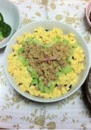 節約★そぼろどん！-レシピのメイン写真