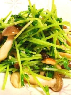 豆苗としめじの塩麹炒め-レシピのメイン写真