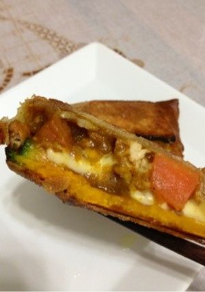 カレーリメイク春巻の皮でサックサク-レシピのメイン写真