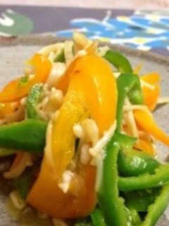 塩麹で野菜炒め ピーマンも甘い!-レシピのメイン写真