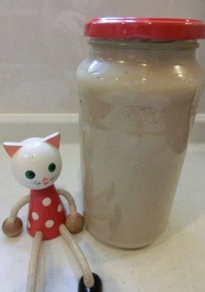 塩麹　カンタン基本の塩麹-レシピのメイン写真