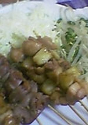 我家は居酒屋さん～焼き鳥～-レシピのメイン写真