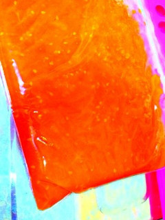 ☆完熟トマトでトマトソース☆-レシピのメイン写真