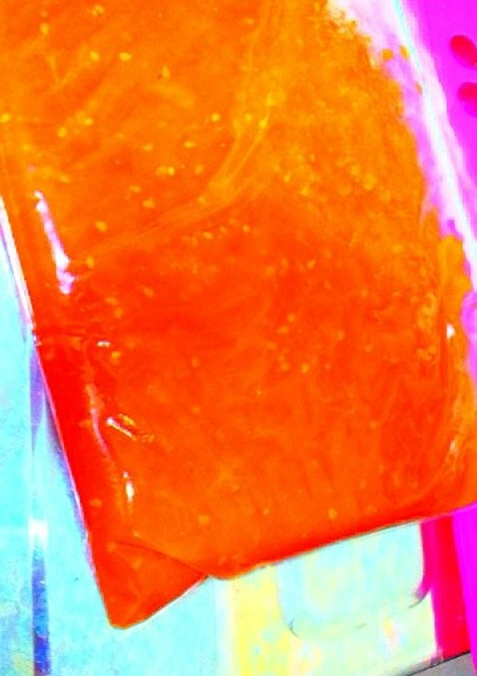 ☆完熟トマトでトマトソース☆-レシピのメイン写真