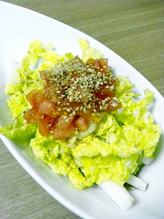 白菜のトマトドレッシングサラダ-レシピのメイン写真