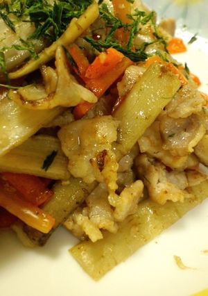 根菜と豚ばら肉の塩麹炒め-レシピのメイン写真