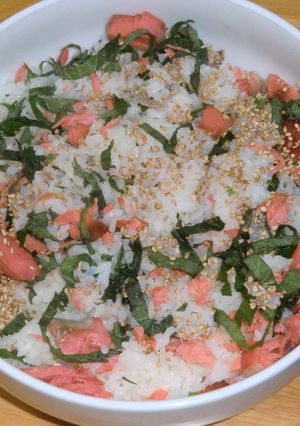超簡単☆鮭ごはん-レシピのメイン写真