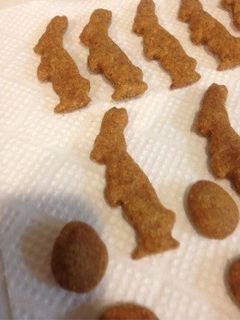 ペット用クッキー-レシピのメイン写真