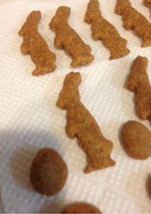 ペット用クッキー-レシピのメイン写真