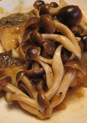 たらときのこの照り焼き-レシピのメイン写真
