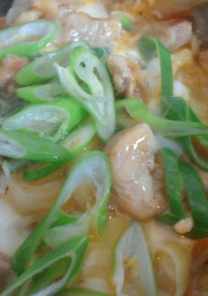 究極？かもしれない親子丼-レシピのメイン写真