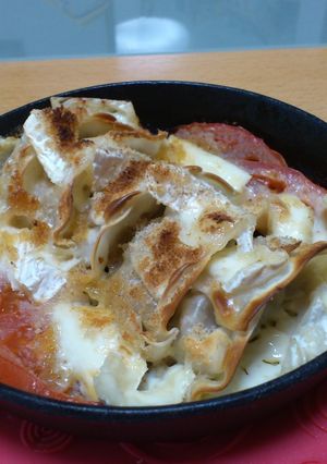 おつまみにどうでしょう 鉄板チーズ餃子-レシピのメイン写真
