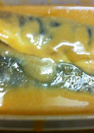 安くて美味しい！鯵の味噌漬け-レシピのメイン写真