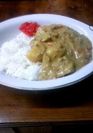 なんちゃてジャワカレー風挽き肉カレー-レシピのメイン写真