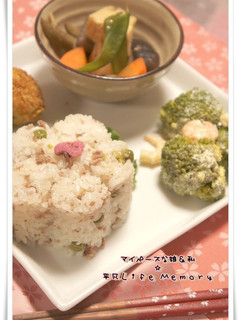 梅豚そぼろごはん-レシピのメイン写真