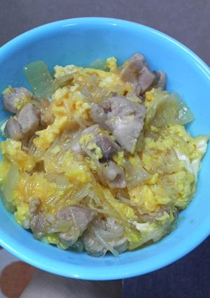 簡単!春雨入り塩味の親子丼-レシピのメイン写真