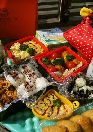 思い立ってすぐに赤ちゃんとピクニック弁当-レシピのメイン写真