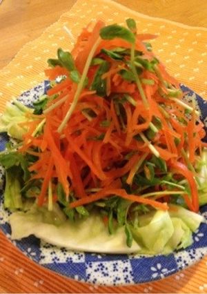 春色(^ ^)ニンジンと豆苗のサラダ-レシピのメイン写真