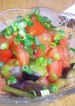 茄子とトマトの青じそサラダ-レシピのメイン写真