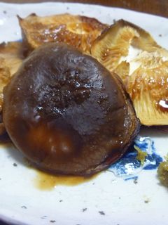 トースターで 焼きしいたけ-レシピのメイン写真