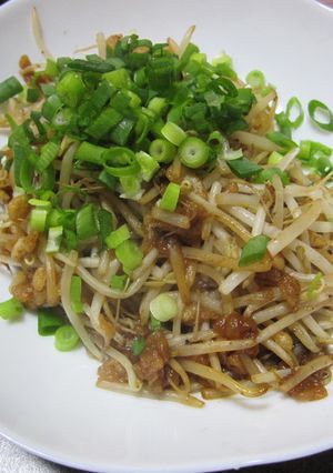 おつまみもやし-レシピのメイン写真