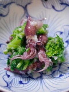 塩麹で 菜の花とほたるいか和え-レシピのメイン写真