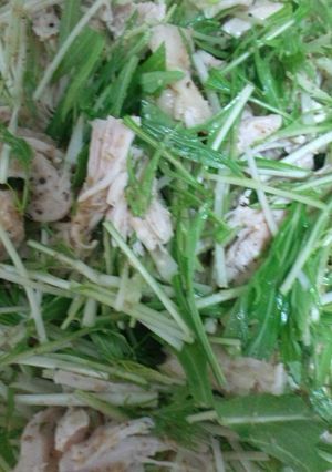 鶏胸肉と水菜のサラダ-レシピのメイン写真