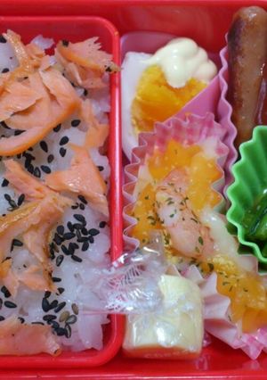 息子の春休み特別保育二日目のお弁当-レシピのメイン写真