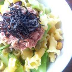 春キャベツと昆布の塩麹パスタ-レシピのメイン写真