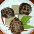 亀椎茸と高野豆腐の煮しめ