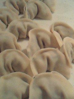残った鮪の漬けが水餃子に変身♪-レシピのメイン写真
