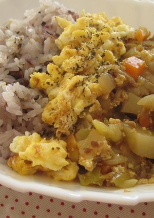 子供が喜ぶ☆豆腐たっぷりドライカレー-レシピのメイン写真