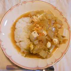たっぷり白菜と豆腐のあんかけごはん-レシピのメイン写真