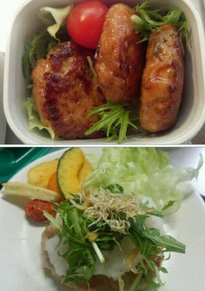 ひとつのタネで豆腐ハンバーグ&つくね-レシピのメイン写真