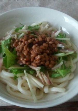 納豆冷やしうどん-レシピのメイン写真