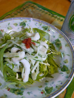 いかと水菜のサラダ-レシピのメイン写真