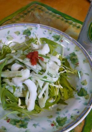 いかと水菜のサラダ-レシピのメイン写真