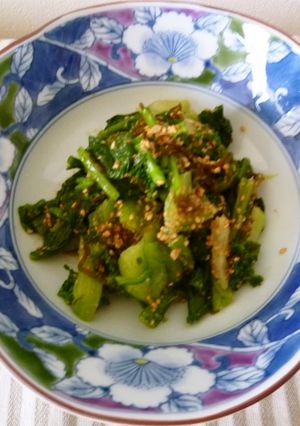 モズク入り三種野菜のお浸し-レシピのメイン写真