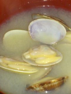 あさりのお味噌汁-レシピのメイン写真