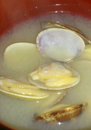 あさりのお味噌汁-レシピのメイン写真