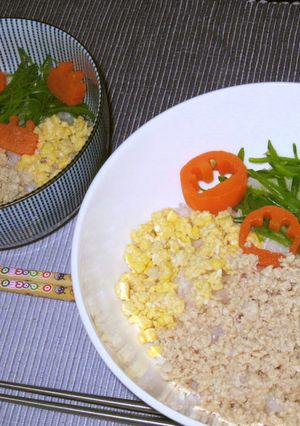鶏そぼろの3色丼(気分で4色)-レシピのメイン写真
