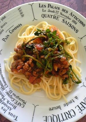 クレソンと牛肉のボロネーゼ-レシピのメイン写真