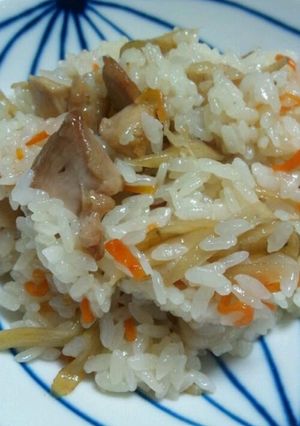 生姜入り♪とりごぼう混ぜごはん-レシピのメイン写真
