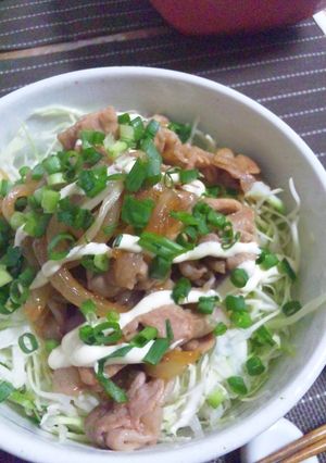 簡単！甘辛豚丼-レシピのメイン写真