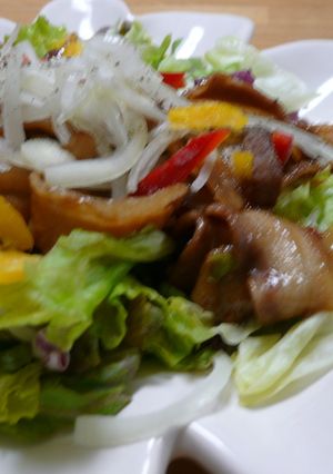 ☆焼肉サラダ☆-レシピのメイン写真