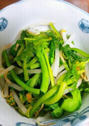 シリコンで☆つぼみ菜のおひたし-レシピのメイン写真