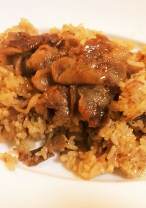 肉ご飯-レシピのメイン写真