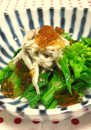 おっしゃれ～*新子と菜の花の和風ジュレ♪-レシピのメイン写真