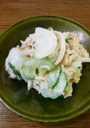 新玉ねぎとツナのサラダ（ポテチ入り）-レシピのメイン写真